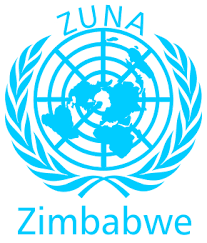 Zimbabwe fails to fulfill MDGs