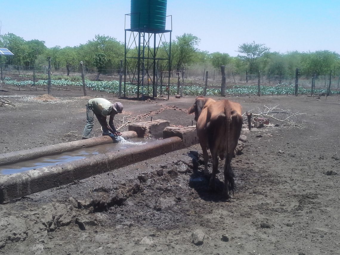 Livelihoods under threat as Chilonga Irrigation Scheme becomes dysfunctional