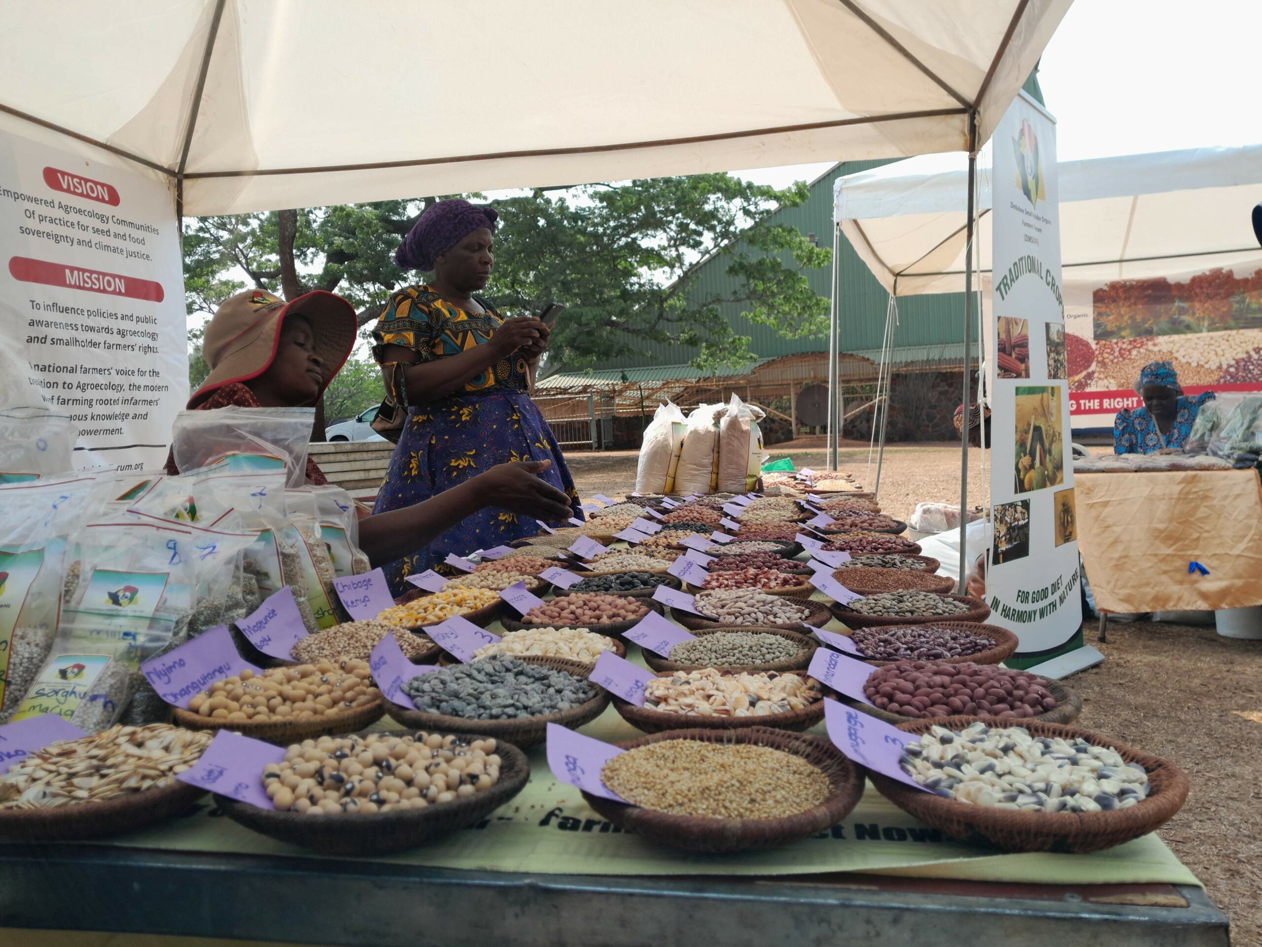National Seed Fair breathes life into long-lost millet varieties