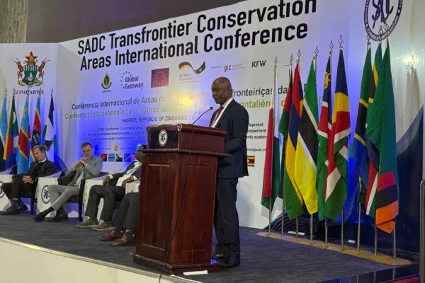 Transboundary cooperation pertinent in SADC TFCAs