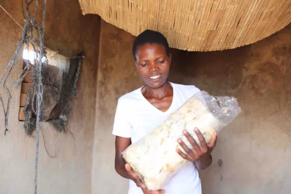 Harvesting Hope: Women in Hurungwe Transform Their Lives Through Mushrooms