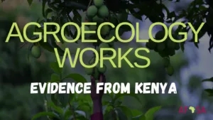 AFSA Launches New Booklet Showcasing Agroecology Success Stories From Kenya At COP29