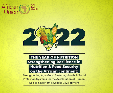 AUDA-NEPAD raises youth, media awareness for AU Year of Nutrition