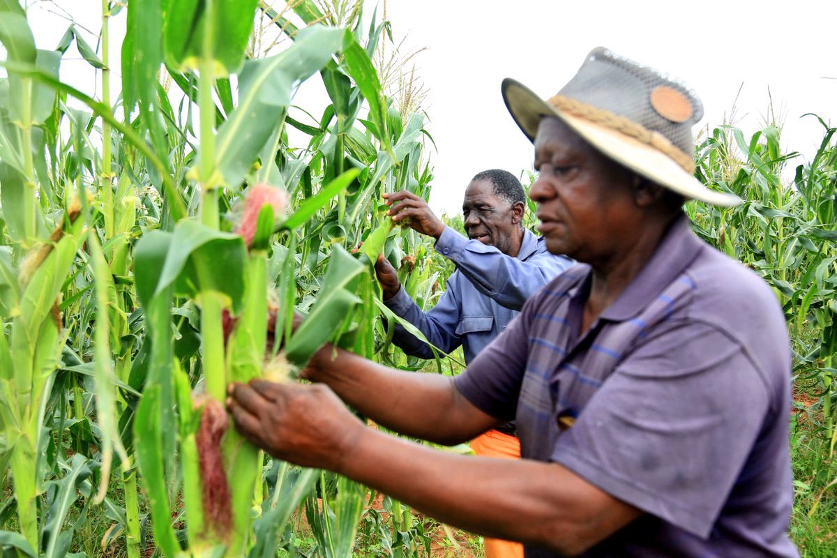 Agriculture a key sector for youth employment