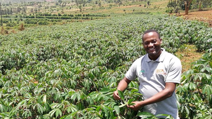 Rwanda Finally Passes Law On GMO – What Next?