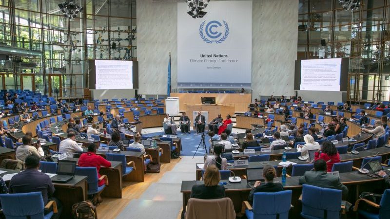 Leading climate lawyer speaks out over sexual harassment at UN talks