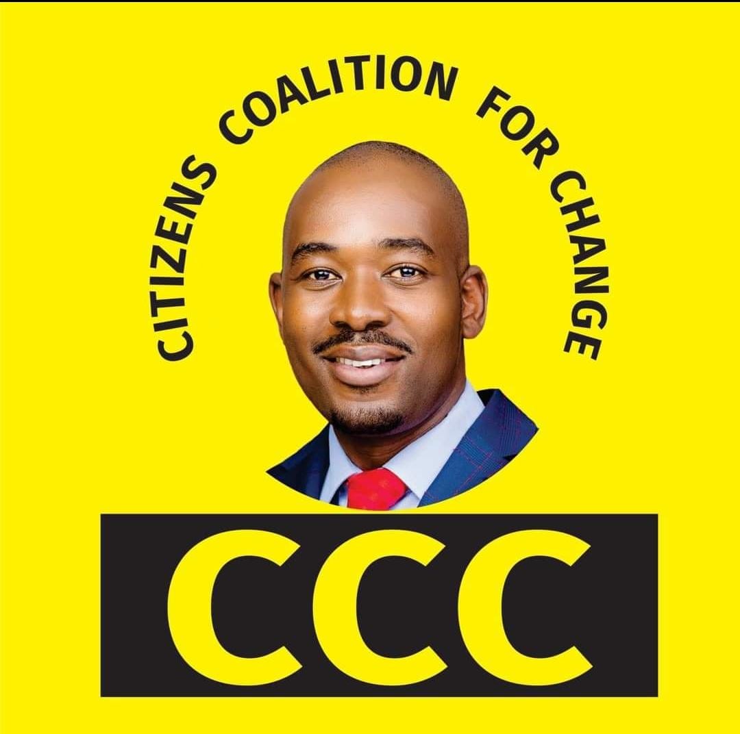 New name for Nelson Chamisa’s party