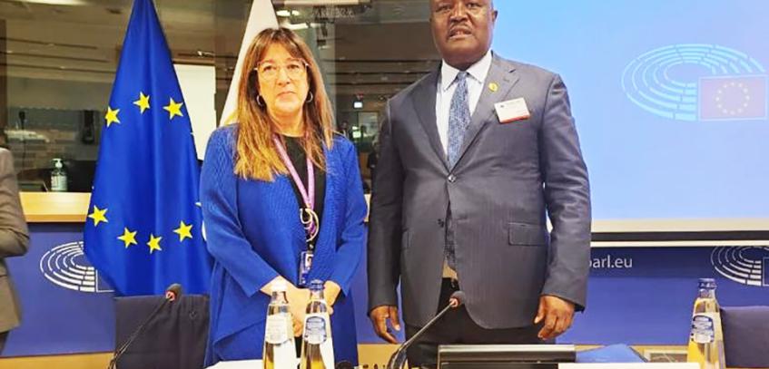 European and Pan-African parliaments discuss areas of cooperation to spur development