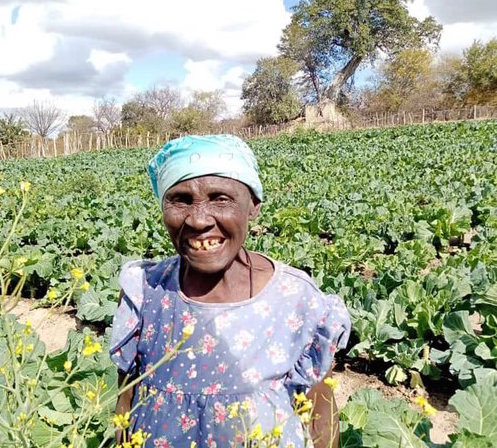 Conservation, regenerative agriculture bringing food security for smallholder farmers