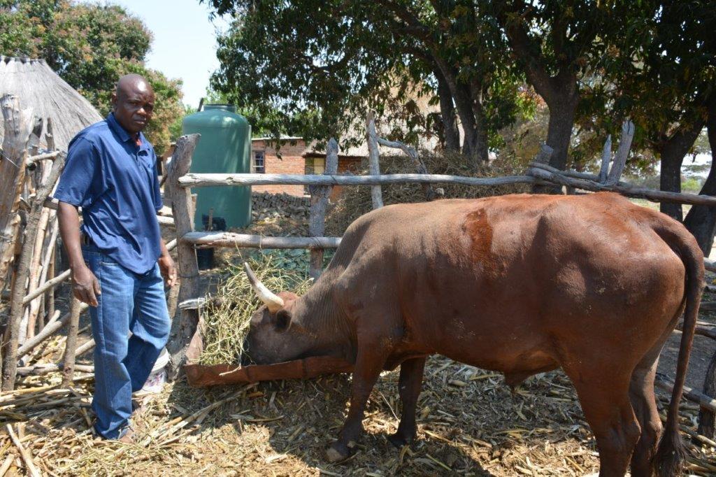 Innovative Farming Benefits Thousands in Rural Zimbabwe
