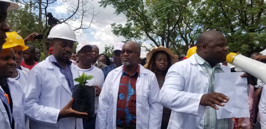 Trees good for environment, earth and future: Chamisa