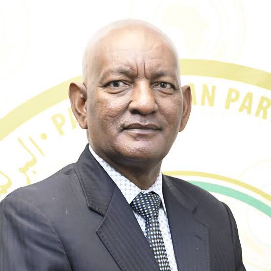 Dr. Ashebir W. Gayo’s power grabbing shenanigans at PAP a damp squib