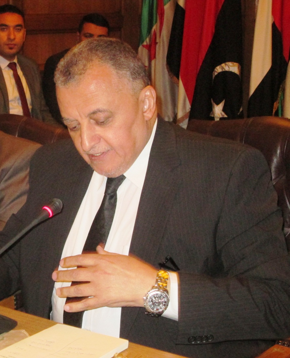 Egypt inspires African judiciary cooperation