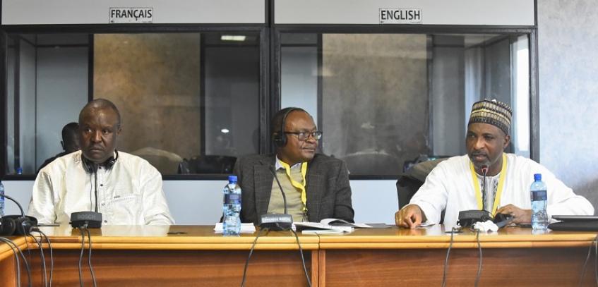 European and Pan-African parliaments agree on funding climate change