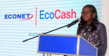 EcoCash Sets Aside RTGS$5 Million for Small Businesses