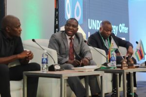 UNDP Energy offer investor forum roars to life