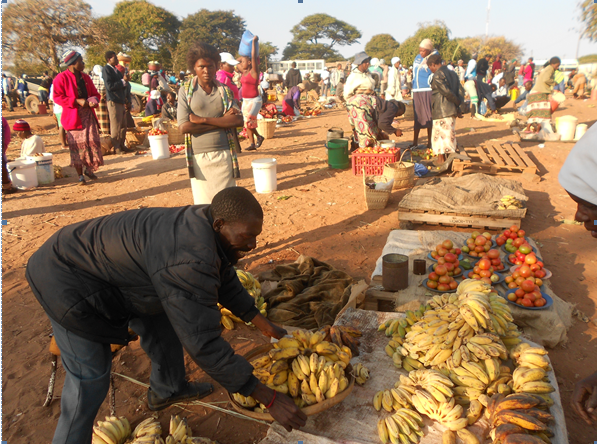 The counter-productivity of fragmented investments in African food systems