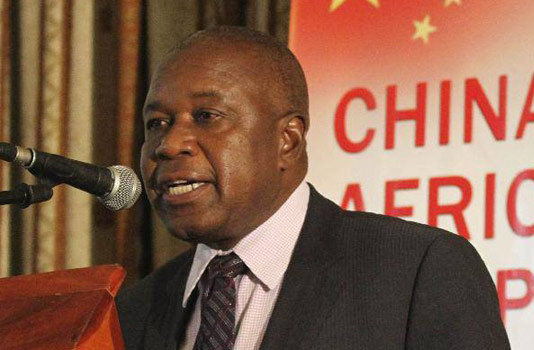 Mutsvangwa Faces Political Extinction After Norton Hammering