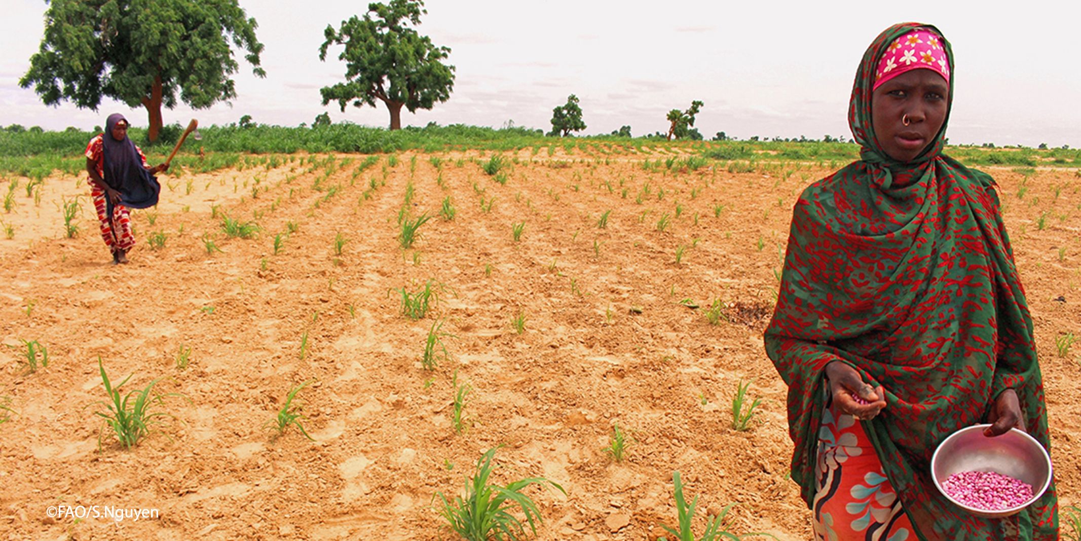 How to stem the turbulent tides of food insecurity across Africa