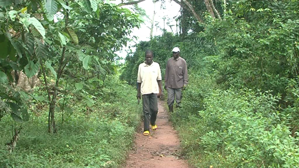 Deforestation negatively impacting livelihoods in Cameroon, Central Africa