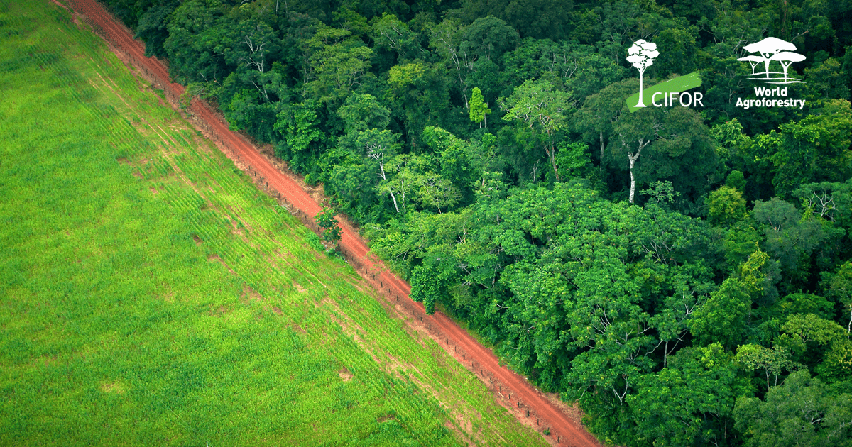 Fossil fuel, mining, and extractive industry expansion threaten remaining tropical forests