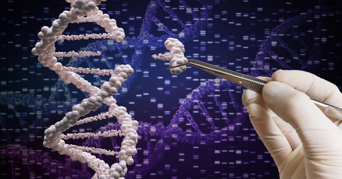Why claims that gene editing doesn’t involve insertion of foreign genes or DNA are false