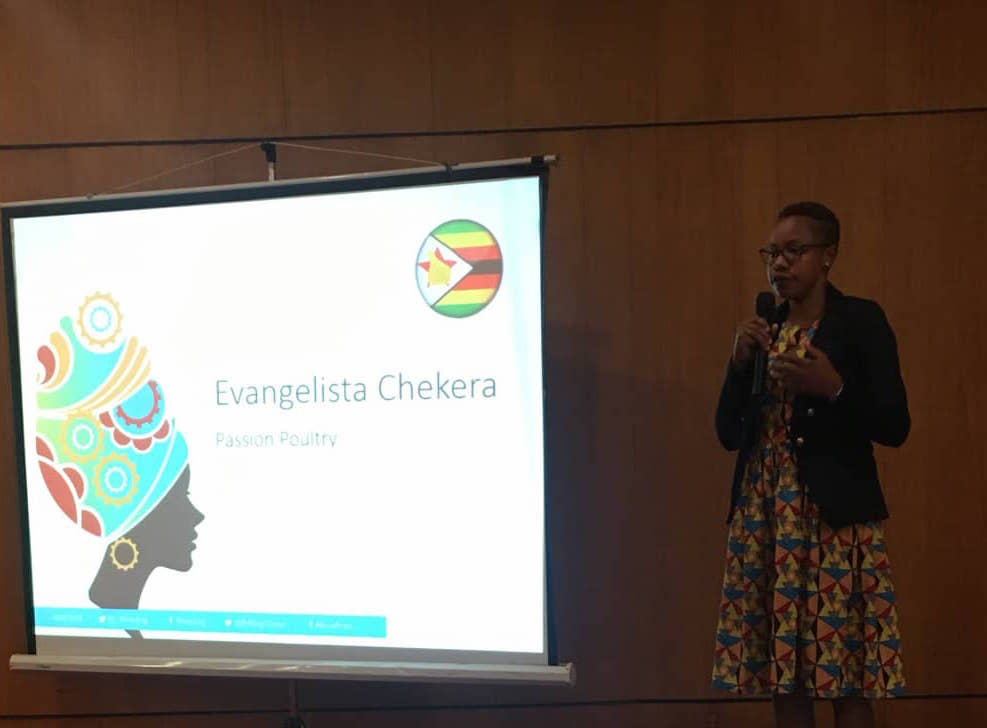 Evangelista Chekera’s Greening Chick Brooding Innovation Impacting Africa