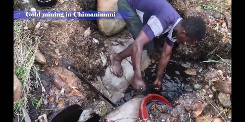 Birdlife Zimbabwe, CTA advocate for environmental management in Chimanimani