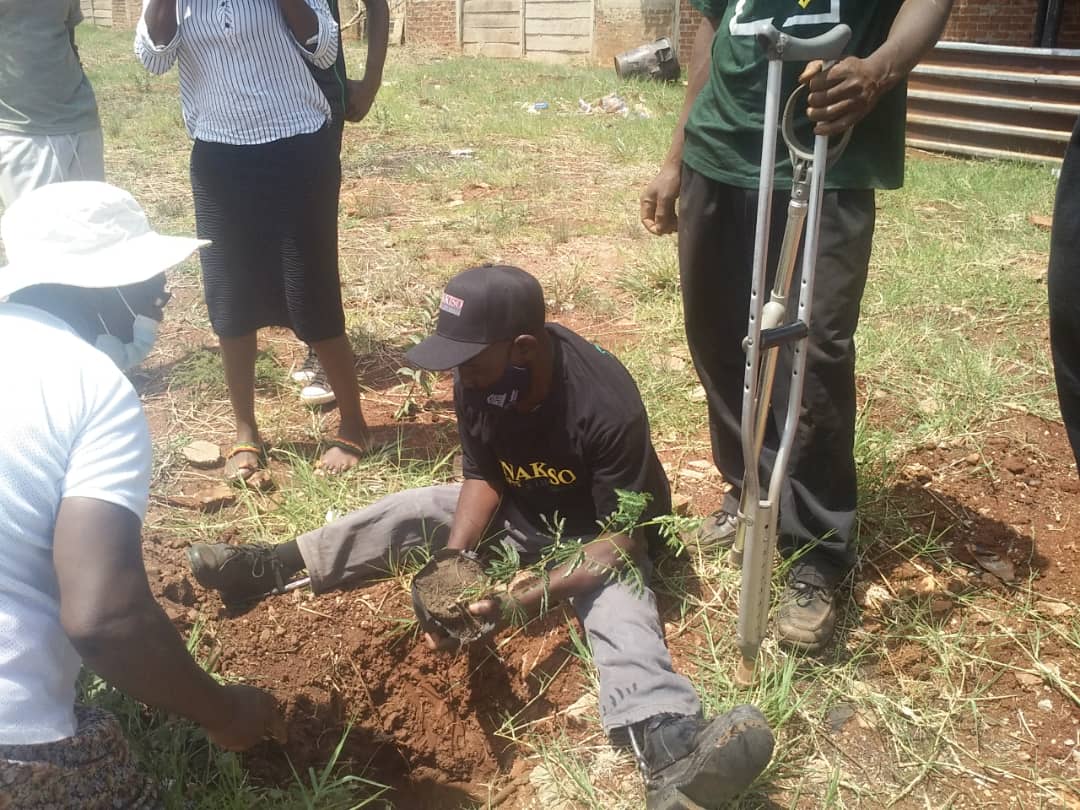 PWDs Headline Banket  Tree Planting Day