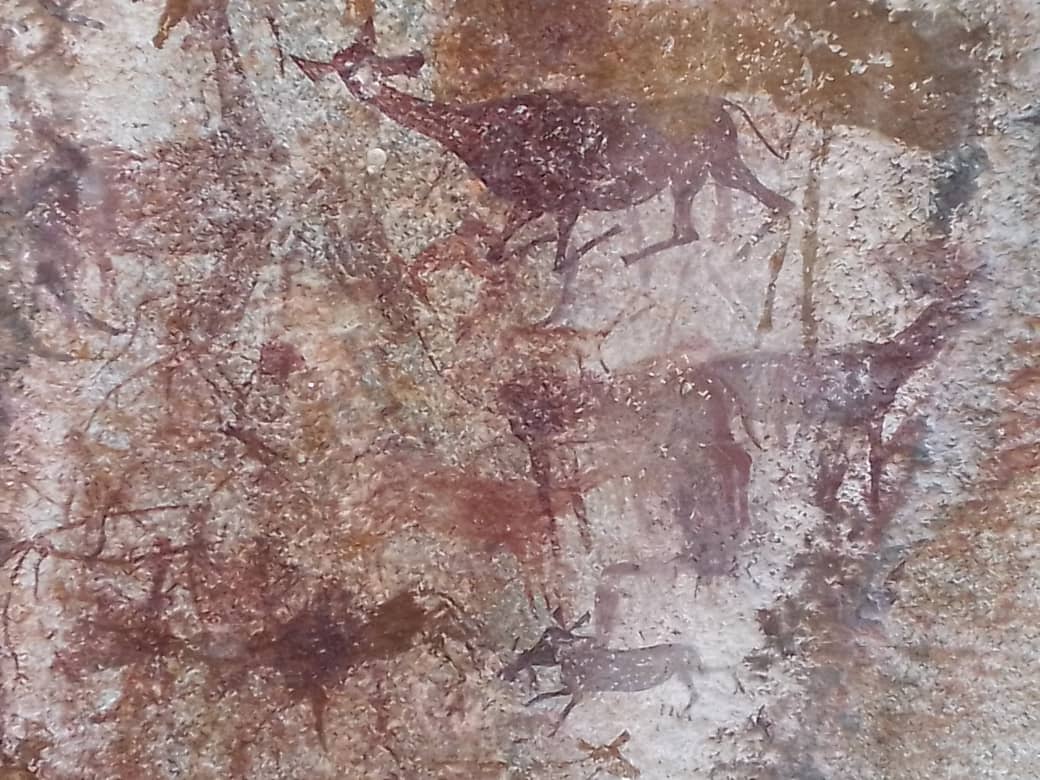 A rare treasure of Zaka: Danda rock art discovery