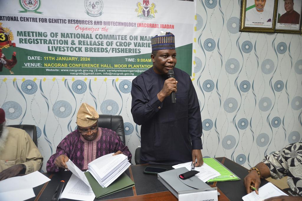 TELA Maize to boost food security in Nigeria: NABDA Director-General