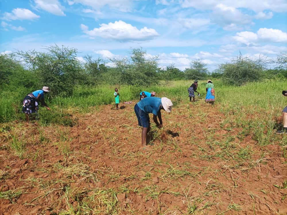 Small-Scale Farmers Forge Path to Affordable Certification Through Collective Action