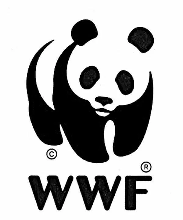 WWF promotes natural solutions to strengthen climate resilience, biodiversity protection