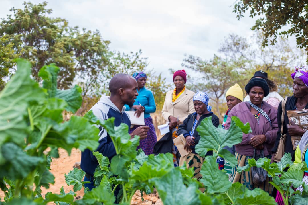Shashe Community embraces agro-ecology for sustainable agriculture and food systems