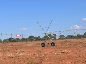 Drought mitigation in Masvingo Province: UN and partners support irrigation schemes