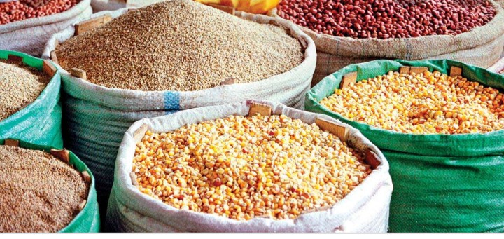 Grain Industry Insights in Africa