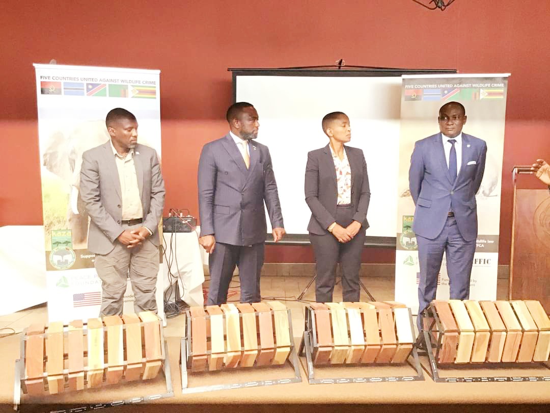 KAZA TFCA ministers consider diversification for a resilient tourism sector