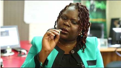 Follow the Constitution in land allocation, eviction: Linda Masarira