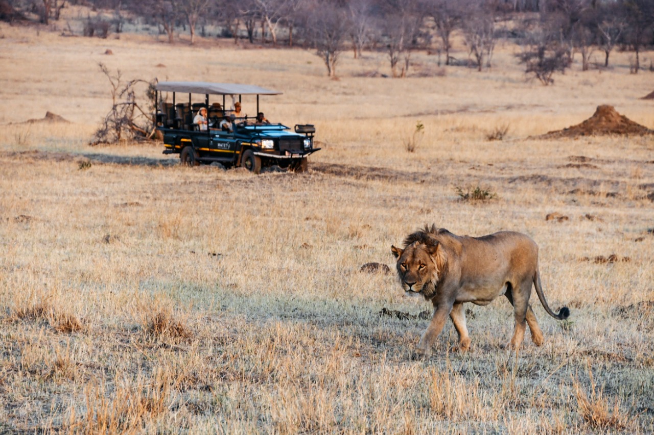 Matetsi Private Game Reserve: Zimbabwe’s best-kept secret in tourism and hospitality