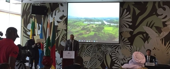 Kinshasa Declaration fosters biodiversity and environmental protection