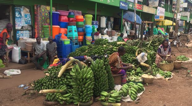 Addressing unfair trade is a key step in transforming African food systems