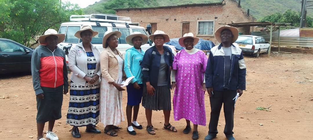 Mushrooms bring emancipation and formalisation to women in Mutasa South