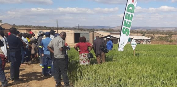 Namibian delegation impressed by Zimbabwe’s agriculture model