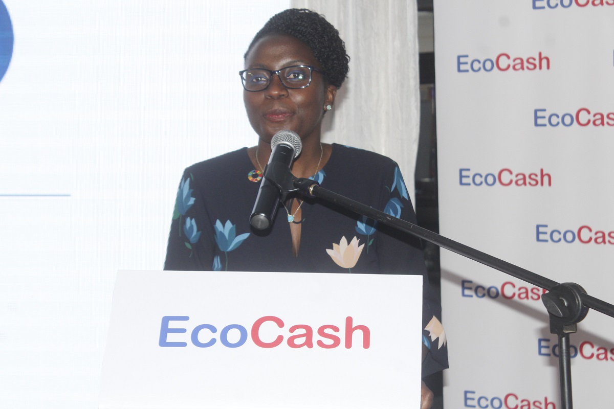 Ecocash Online Self-service portal hailed for its convenience
