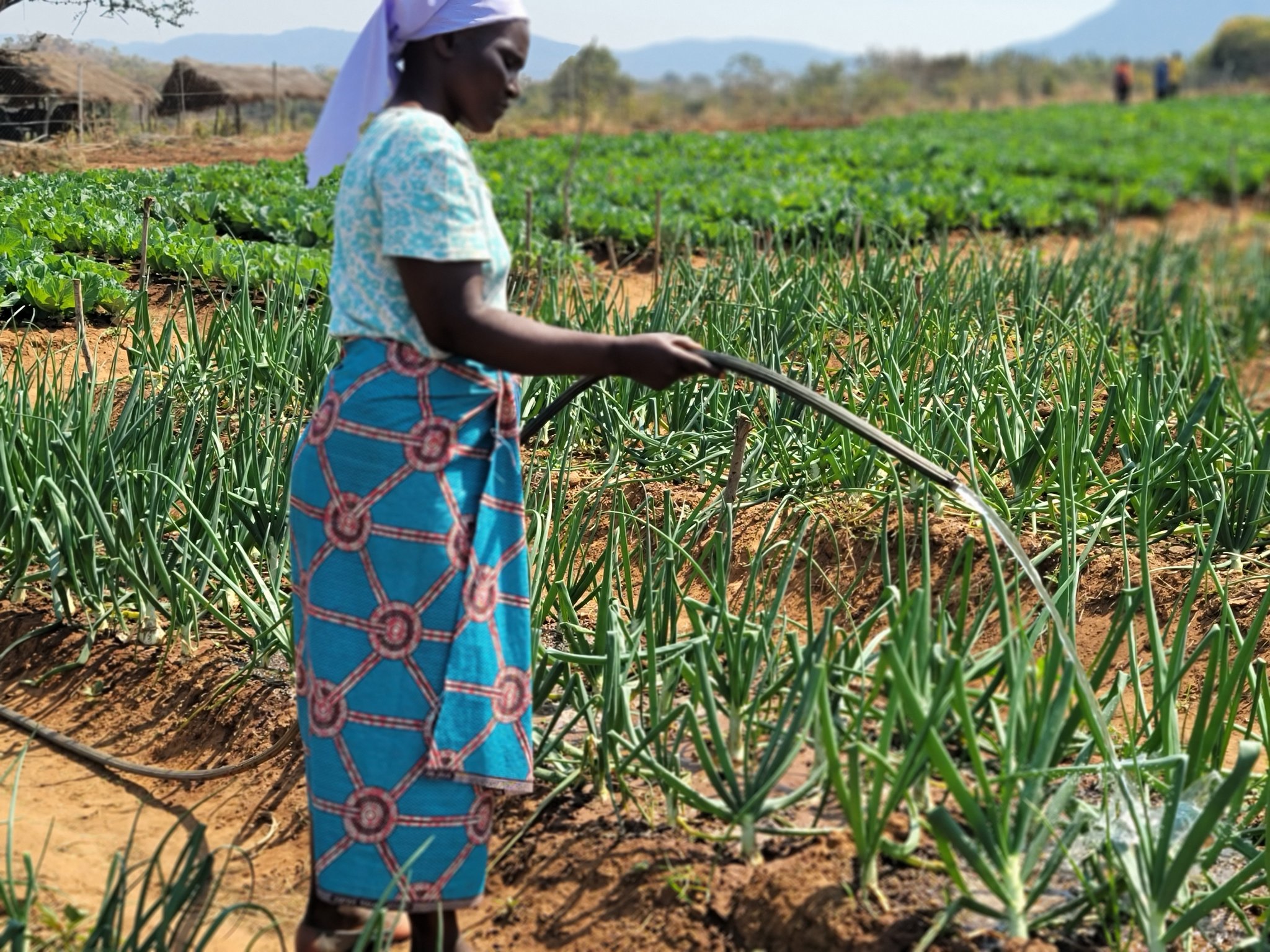 Community nutrition gardens helping smallholder farmers