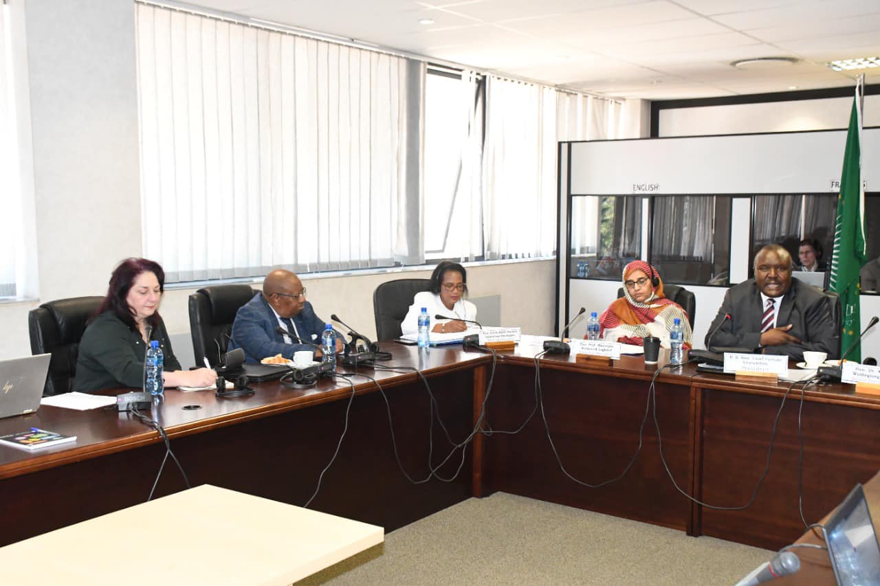 Pan-African Parliament and Africa Forum explore cooperation prospects