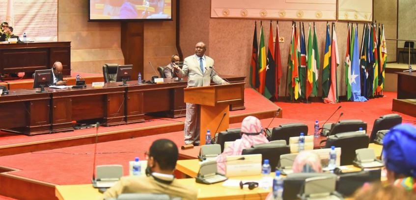 Pan-African Parliament supports ECOWAS stance on Niger