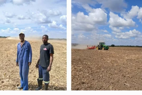 Mashonaland West Province poised to meet wheat production targets