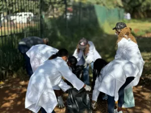 NetOne Champions Cleaner Zimbabwe, Partners with Harare City