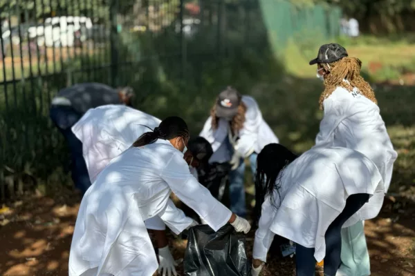 NetOne Champions Cleaner Zimbabwe, Partners with Harare City